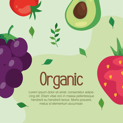 banner with organic food, vegetables and fruits, concept healthy food vector illustration design
