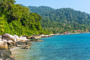 Hike on Tioman from ABC Beach to Monkey Beach through the rainforest