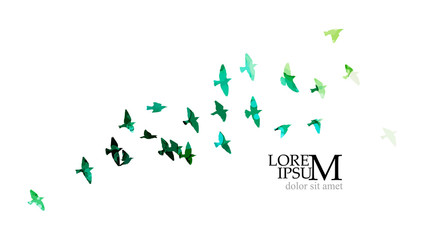 Bird watercolor. A flock of colorful birds. Mixed media. Vector illustration