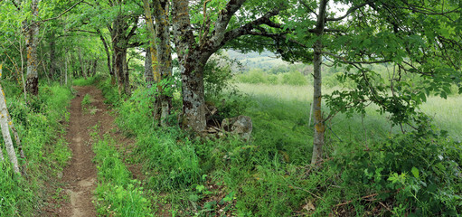 Dirt road in rural Central France near Le-Mauet-de-la-Montagne in spring