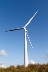 Fototapeta premium Single wind turbine with blue sky in a vertical format - UK. Clean and renewable energy concept. 