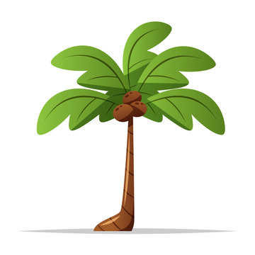 Cartoon coconut tree vector isolated illustration