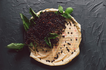 Fruit black elderberry on a dark background. (Sambucus nigra). European black elderberry background