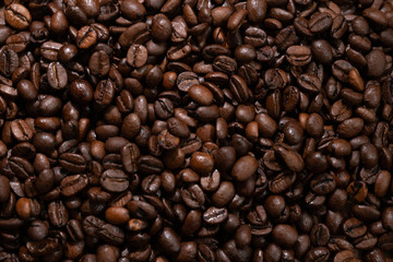 コーヒー豆
