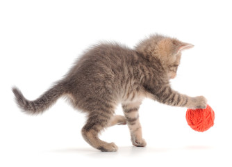 Kitten with ball of yarn.