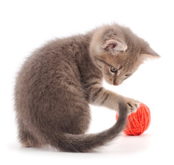 Kitten with ball of yarn.