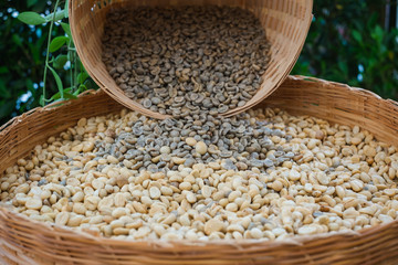 Close up of the coffee beans in the basket.