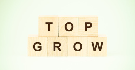 words top grow made with small wooden cubes on light green