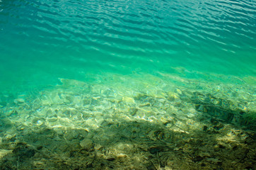 Fototapeta na wymiar Transparent water of Turquoise Plitvice Lake