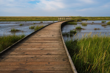 Footbridge in the nature reserve Groden von Langwarden / Germany in soft evening light