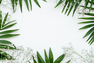 Floral frame. Natural background. Green palm leaf white flower sprig composition isolated on light...
