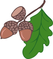 oak branch with leaves and acorns vector image