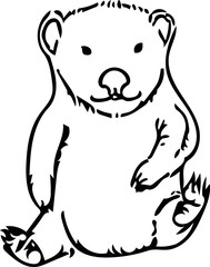 vector sketch of a wombat