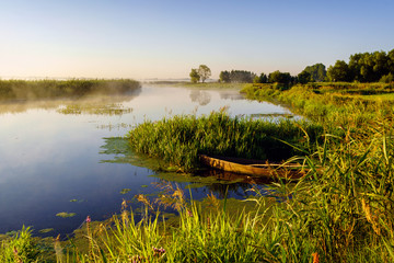 Poranne mgły w Dolinie Narwi, Podlasie, Polska