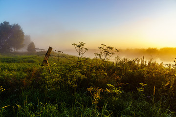 Poranne mgły w Dolinie Narwi, Podlasie, Polska