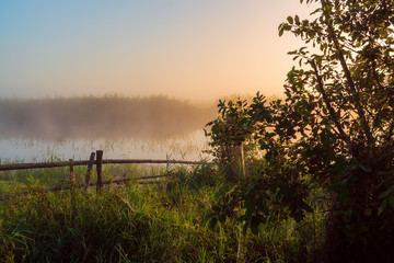 Poranne mgły w Dolinie Narwi, Podlasie, Polska