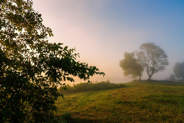 Plakat Poranne mgły w Dolinie Narwi, Podlasie, Polska