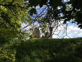 trees and castle
