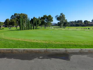 Fototapeta premium A view landscape green grass at green golf field and trees in background. Lots of golf balls and flags are on the field to train the golfers. Copy space.