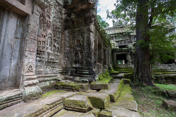 Fototapeta na wymiar Ta Prohm Temple at Angkor Wat, A temple complex in Cambodia and the largest religious monument in the world