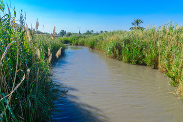 Nahal HaKibutzim in the Spring Valley Park