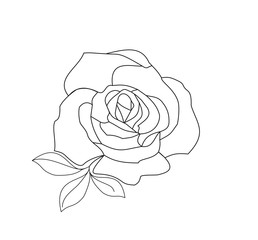 ROSE TATOO WITH BLACK AND WHITE LEAVES