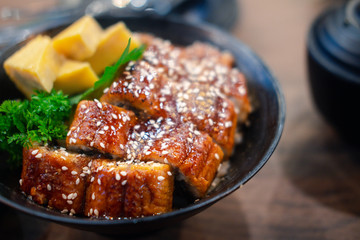 Japanese grilled eel