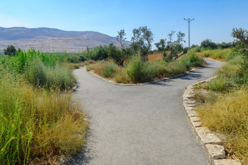 Footpath, with visitors, in the Spring Valley Park