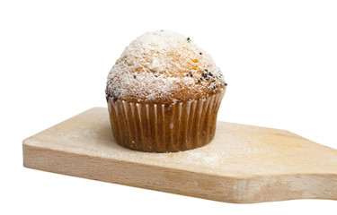 Cupcake on an isolated background as a background for the text