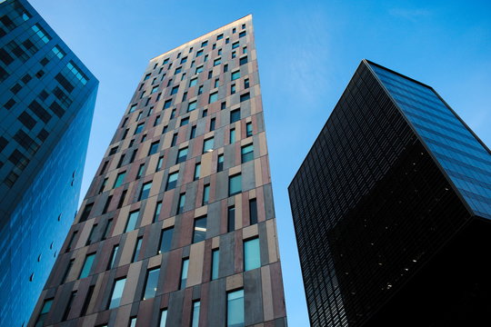 Tores 이미지 – 찾아보기 443 스톡 사진, 벡터 및 비디오 | Adobe Stock