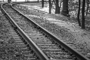 Railroad in the forest. Parallel lines. Perspective on the example of railway rails. Move forward....