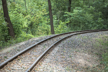 Railroad in the forest. Parallel lines. Perspective on the example of railway rails. Move forward. Travel by train. Rails and sleepers. Land mode of transport. High-speed train. Railway communication.