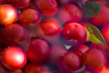 red cherry plums are washing in water in summer garden 