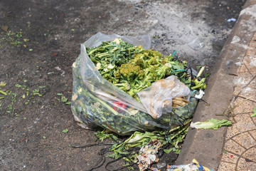 Organic waste bag near the roadside