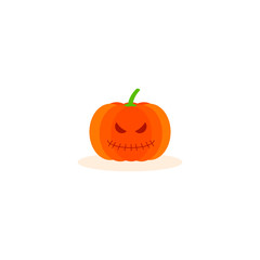 This is a pumpkin isolated on white background.