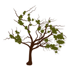 Obraz premium The tree with leaves flat illustration