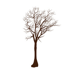 Obraz premium The tree isolated on white background flat illustration