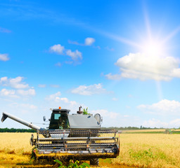 Harvesting machine working at field in sunny morning.