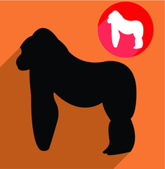 Gorilla silhouette