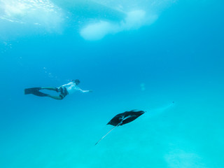 Male free diver and Giant oceanic manta ray, Manta Birostris, hovering underwater in blue ocean. Watching undersea world during adventure snorkeling tour on Maldives islands.