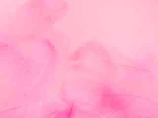 Fototapeta premium Beautiful abstract gray and pink feathers on white background, white feather frame texture on pink pattern and pink background, feather, pink banners