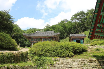 japanese garden in spring