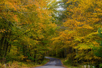 Autumn in New England by Constantine