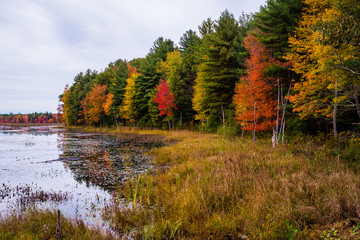 Autumn in New England by Constantine