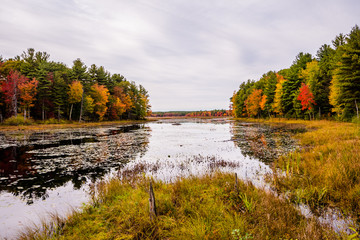 Autumn in New England by Constantine