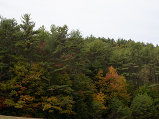 Autumn Falls on New England by Constantine