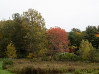 Autumn Falls on New England by Constantine