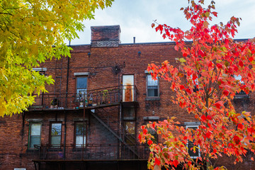 Autumn in New England by Constantine
