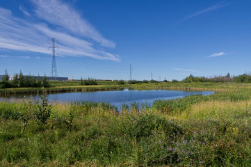 Pylypow on a Sunny Day