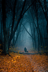 Blurry silhouette of a woman with a black dog walking away on a pathway at the dark autumn mysterious foggy park among high trees with yellow trees.